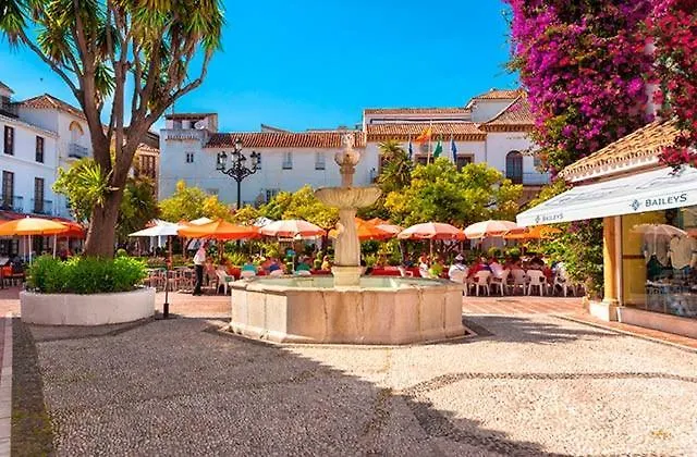 Olas House